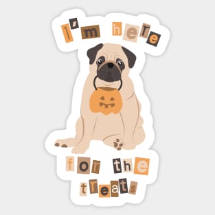 Halloween Pug - I'm here for the treats Sticker